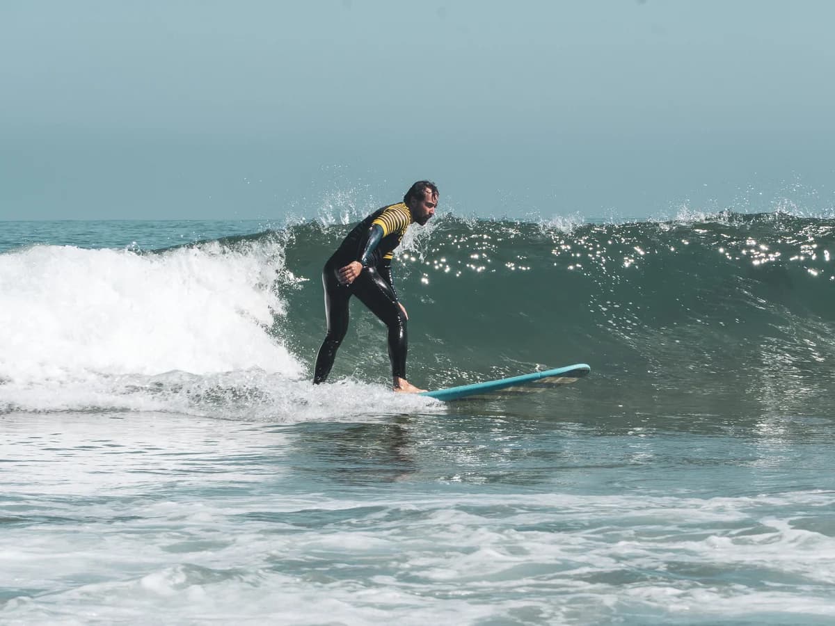 el gato gordo - riders house surf camp