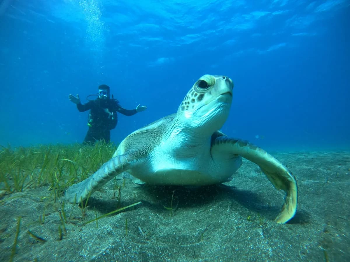 Endless Summer House surf camp