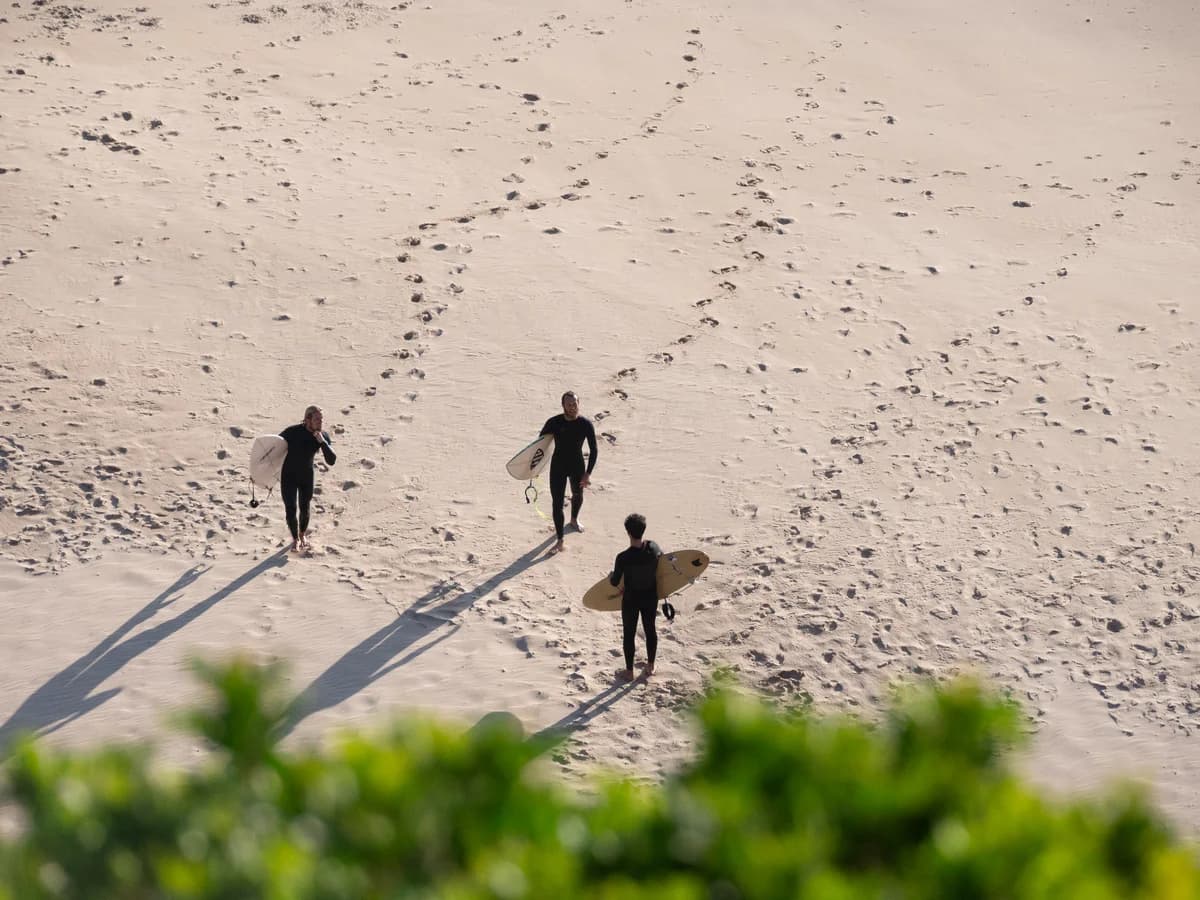 Lemontree Eco Surfhouse Sagres surf camp