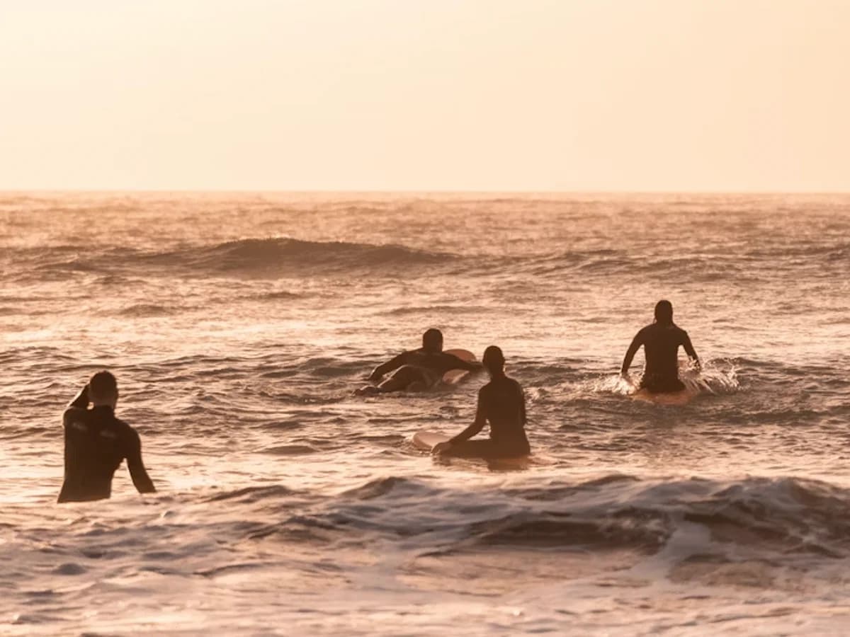 Let Us Surf surf camp