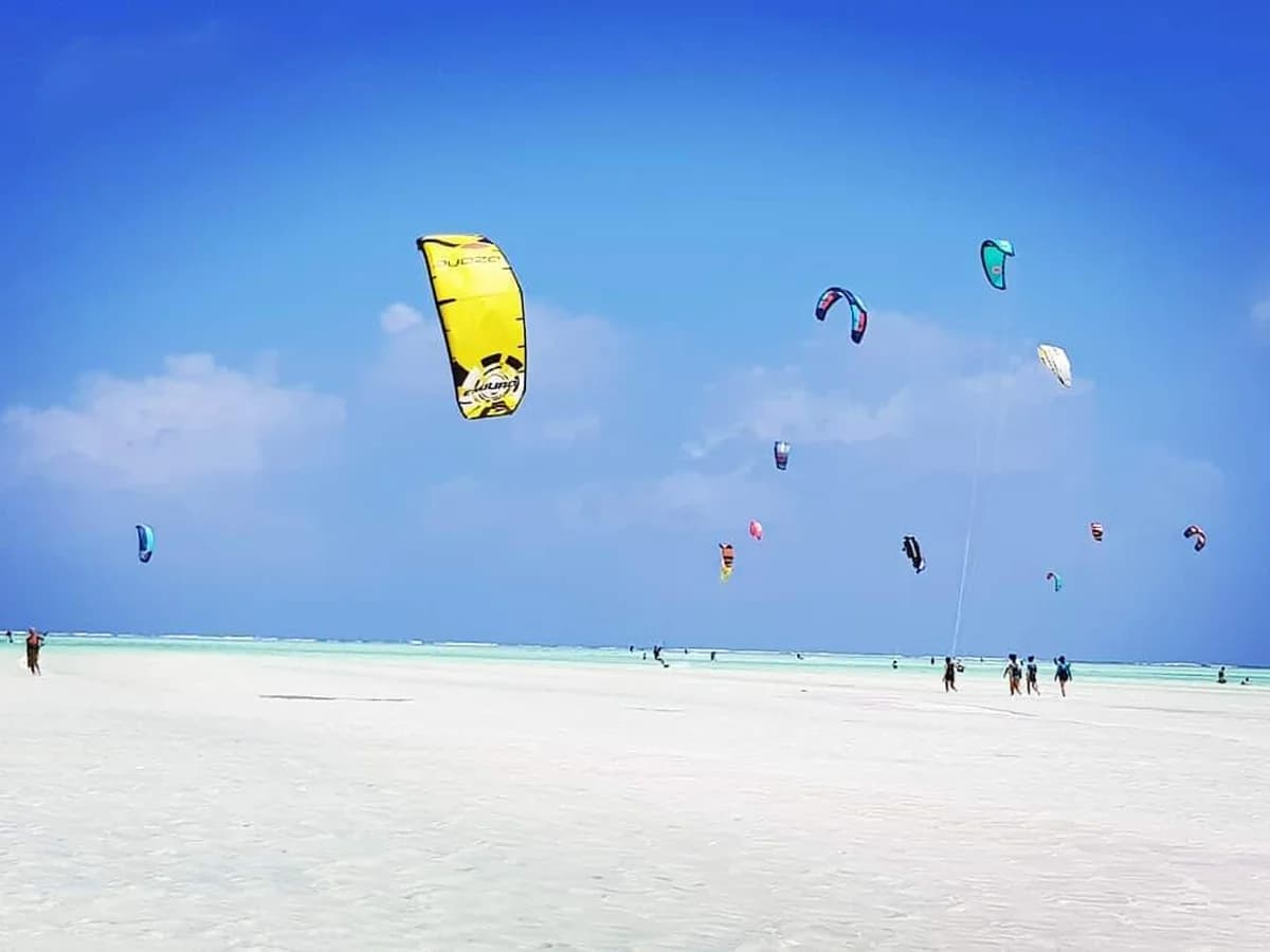 PAJE BY NIGHT surf camp