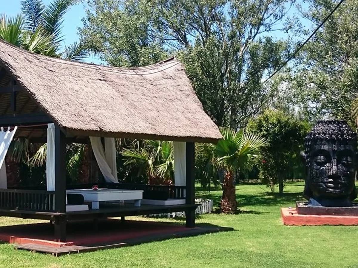 Pata Negra Surf surf camp