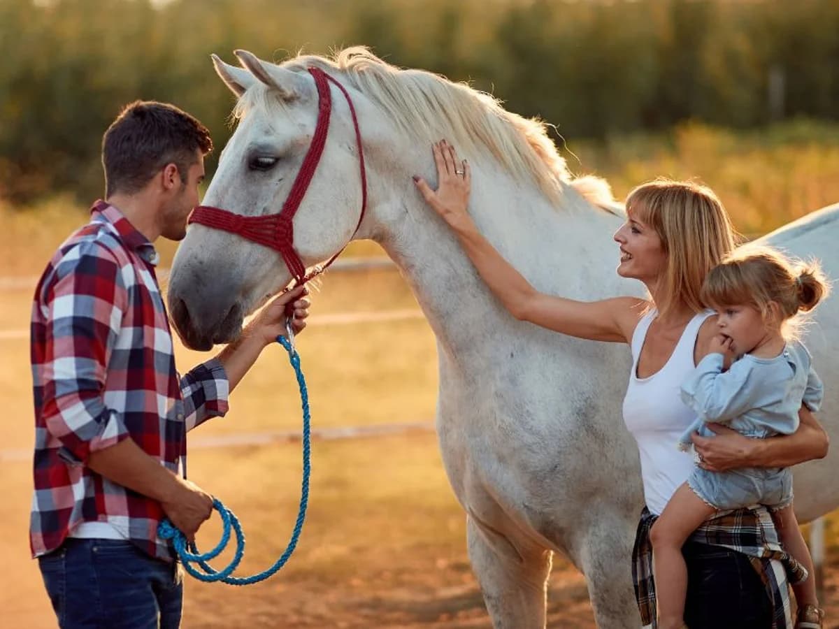Retreat Oasis Portugal surf camp