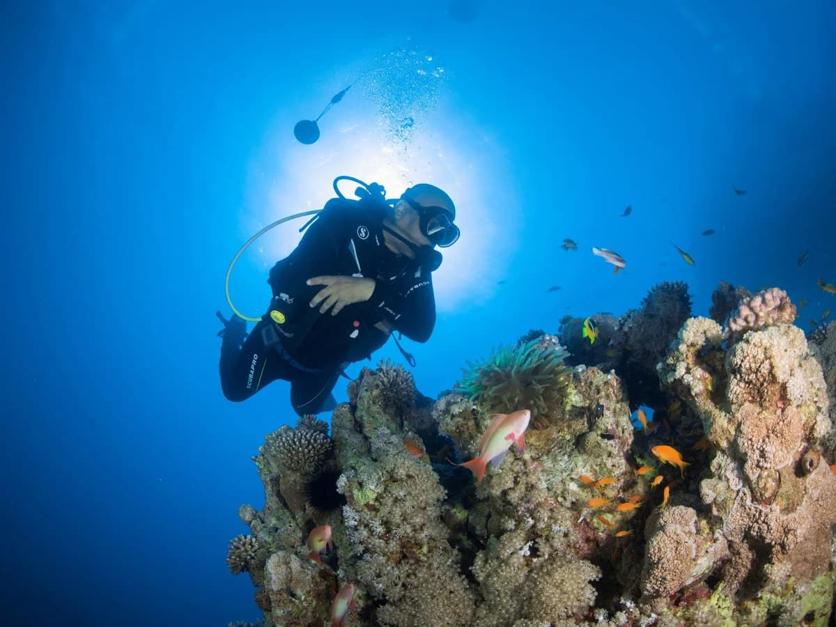 Salma Tours & Travel surf camp