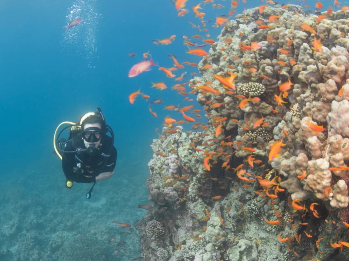 Salma Tours & Travel surf camp