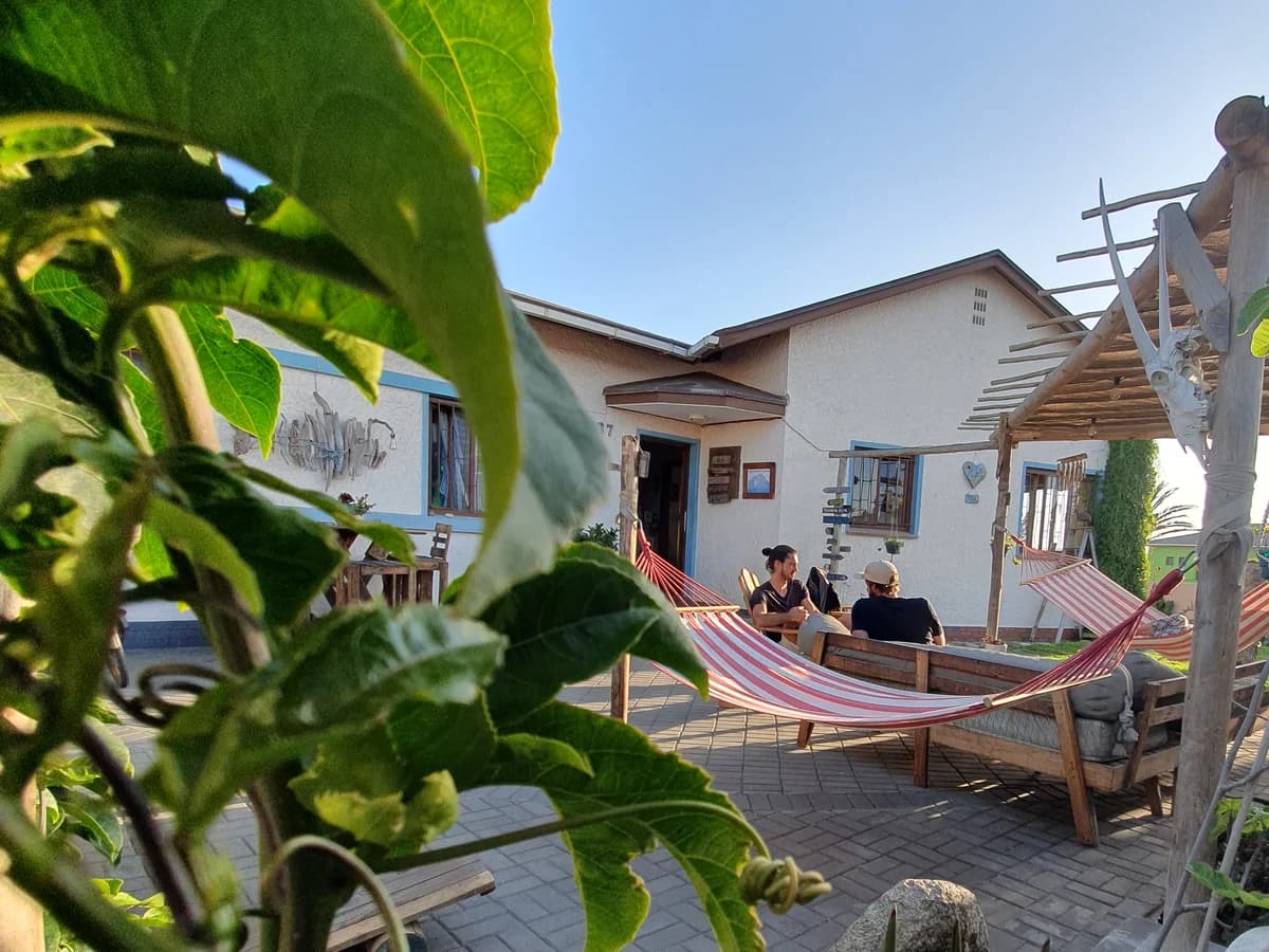 Salty Jackal Surf Camps surf camp