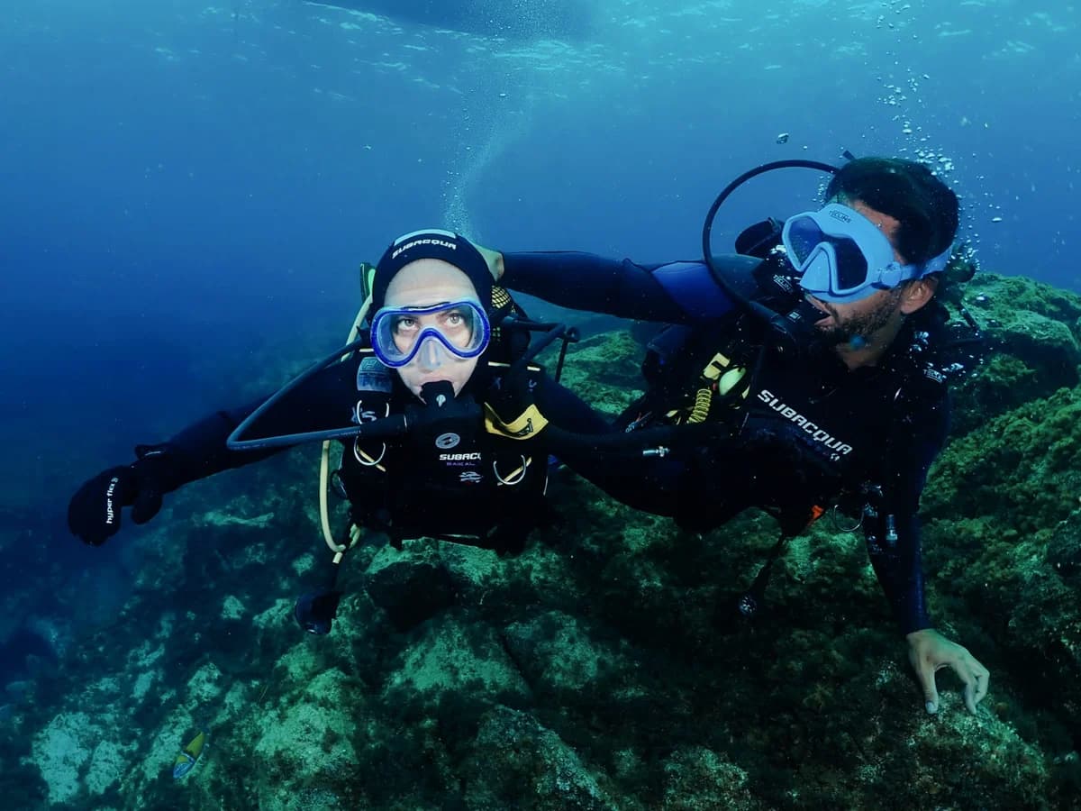 Single Fin Surf House surf camp