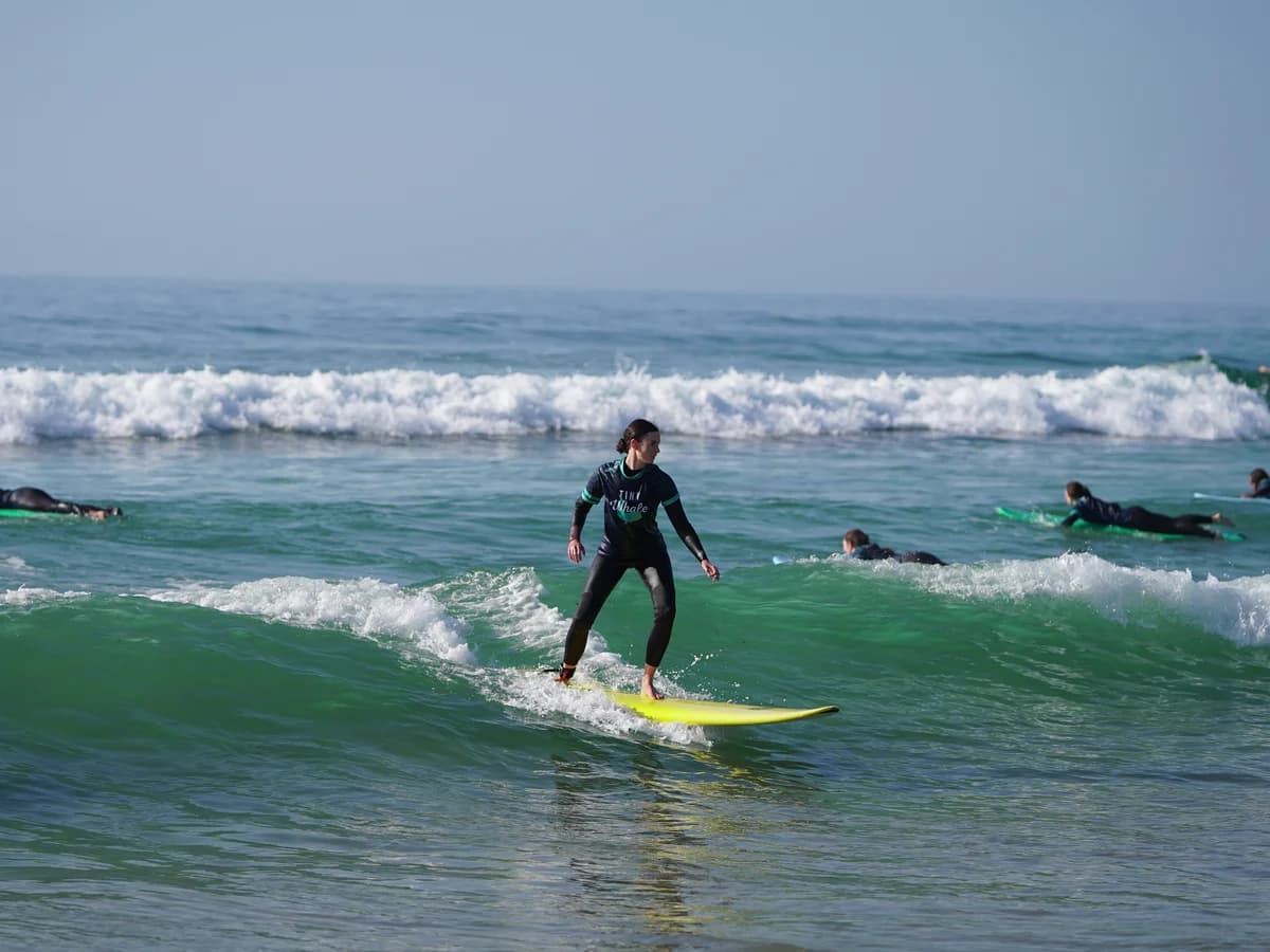 Tiny Whale Surf surf camp