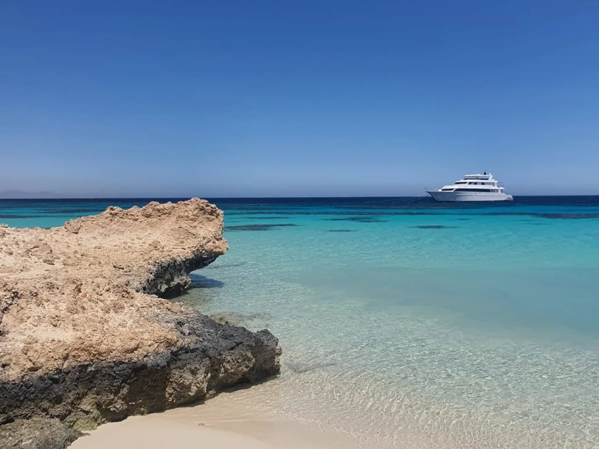 Yoga Life Studio surf camp