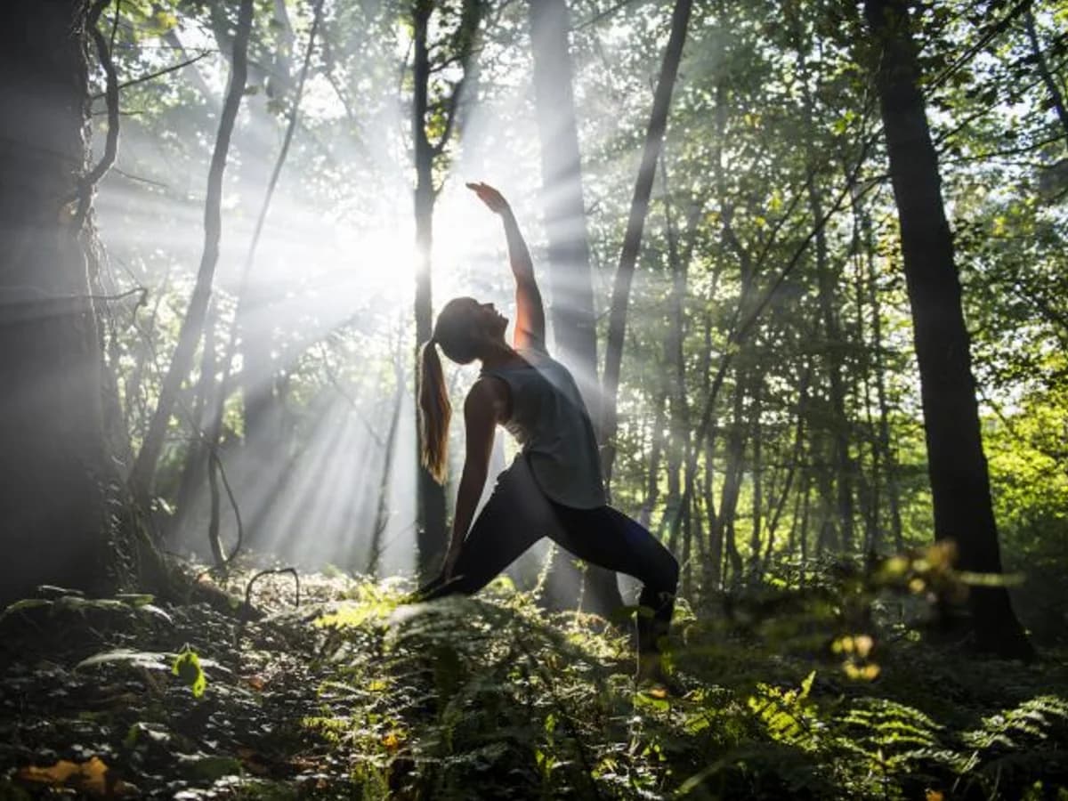 Cornish Wave surf camp