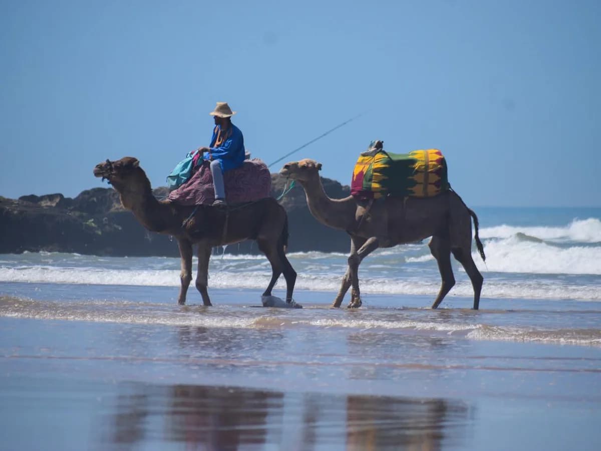 epicswellhouse surf camp