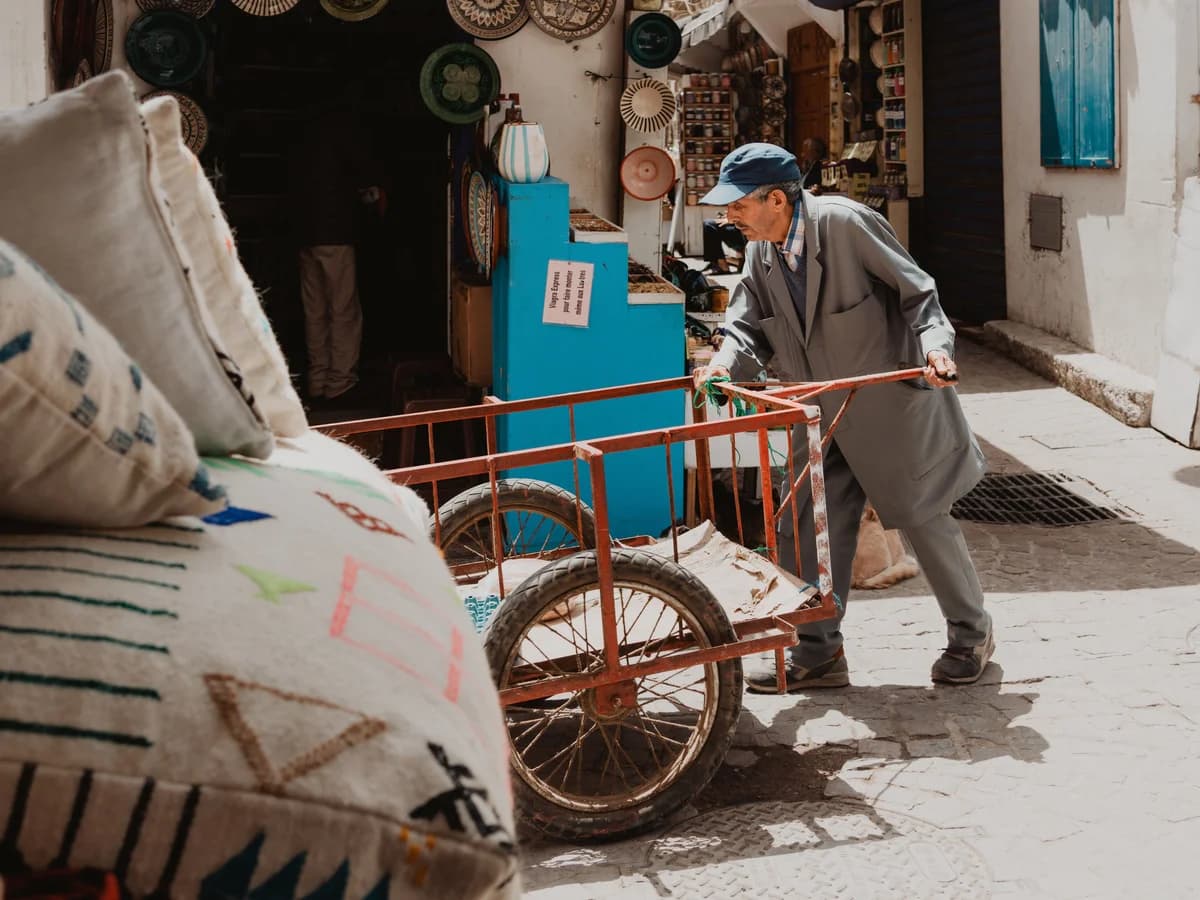 Ocean Vibes Travels surf camp