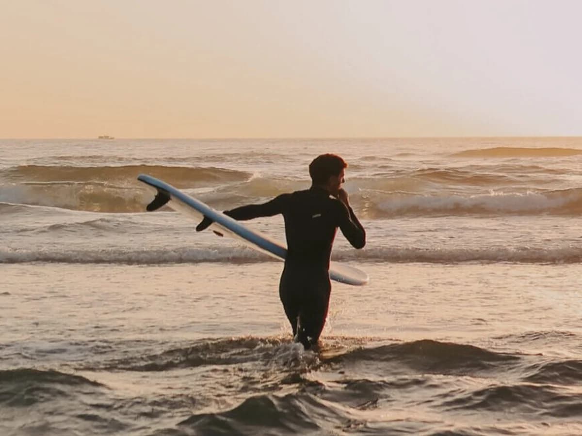 Wave Nest Surf Camp surf camp