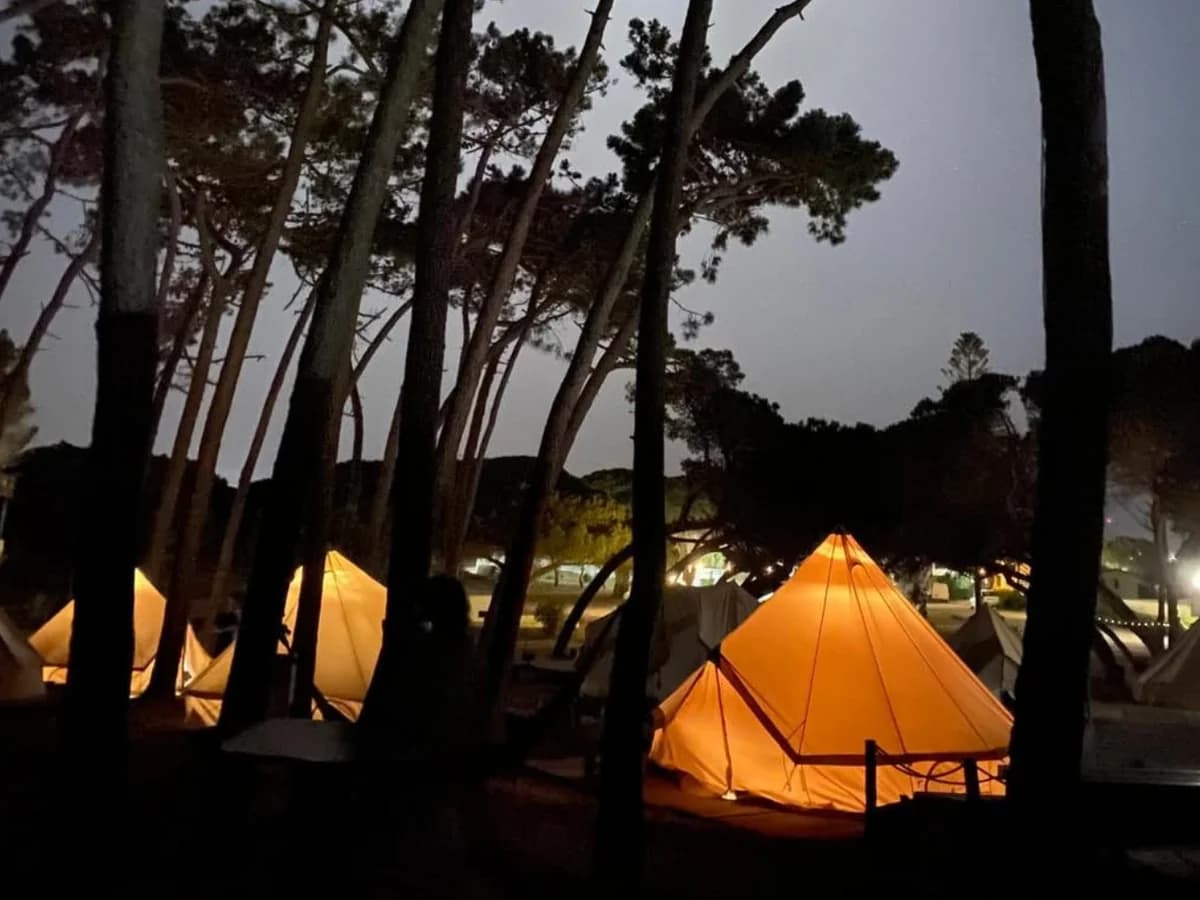 Wavy Surf Camp Portugal surf camp